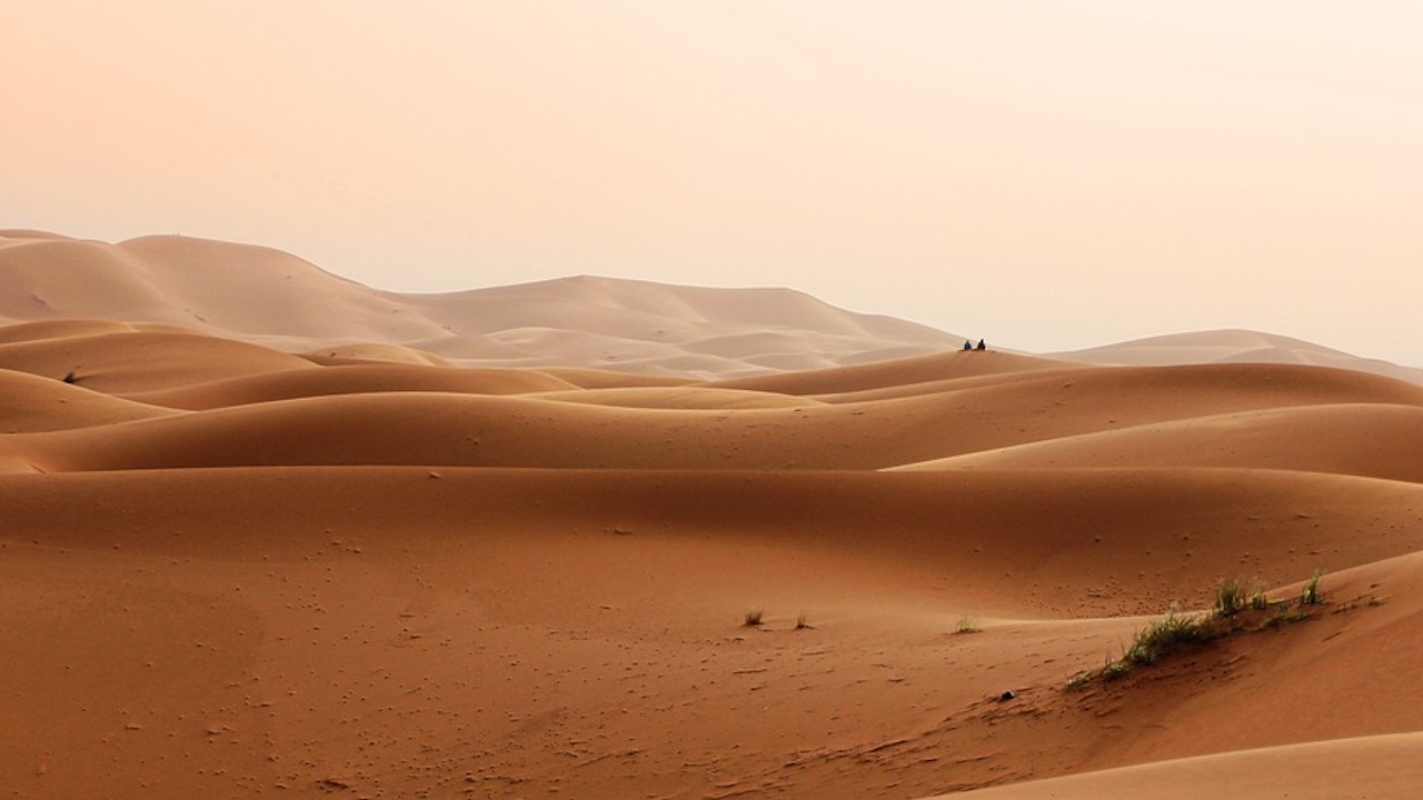 Voyage en groupe dans le désert marocain et l'Atlas