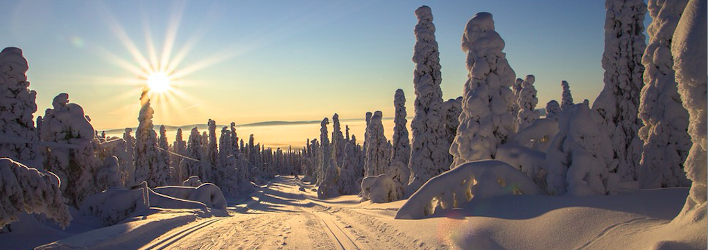 Voyage exceptionnel et insolite en Laponie